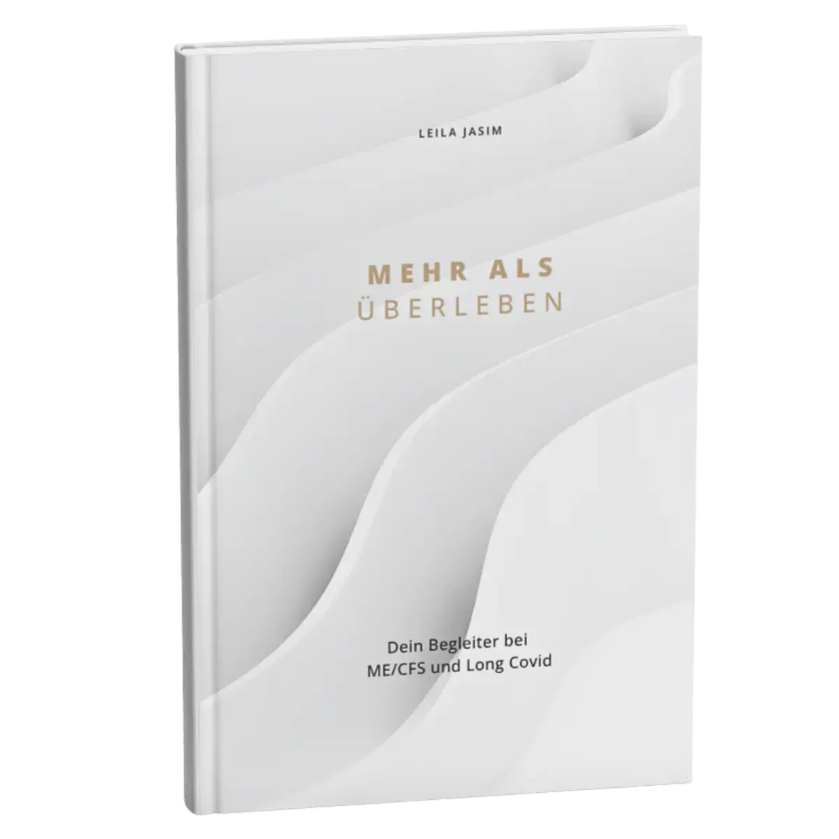 Buch Mehr als Überleben – Cover Thumbnail