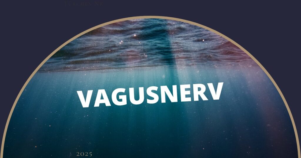 Vagusnerv