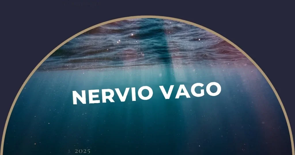 Nervio vago